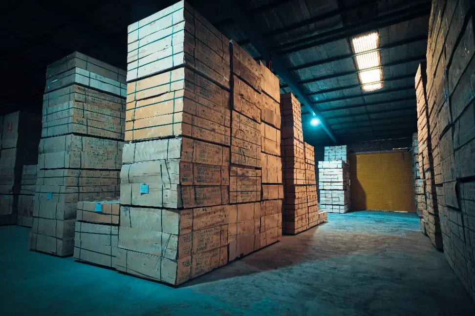 DSC09037-2_optimized